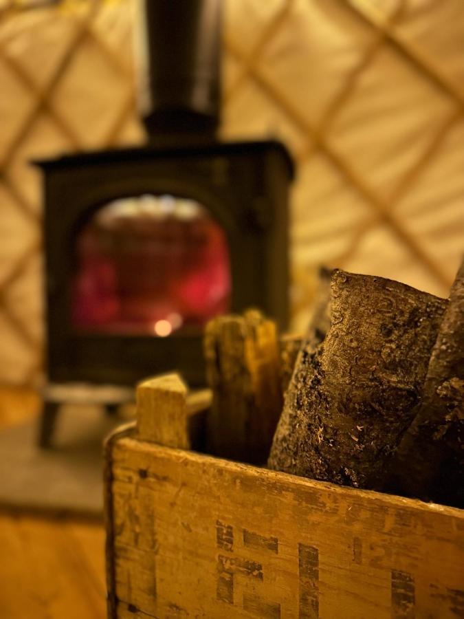 Bracken Yurt At Walnut Farm Glamping Hotel Netherbury Buitenkant foto
